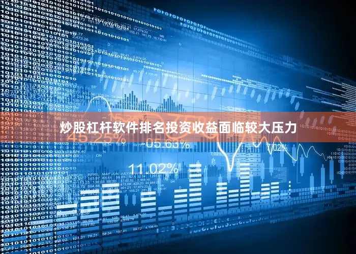 炒股杠杆软件排名投资收益面临较大压力