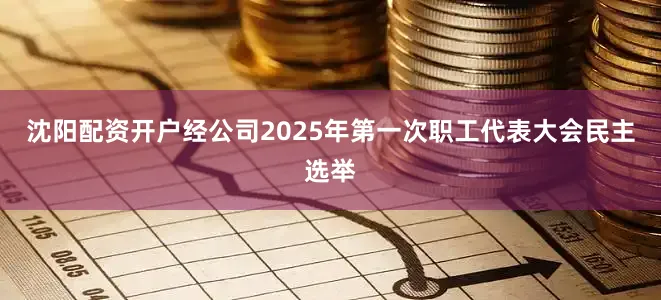 沈阳配资开户经公司2025年第一次职工代表大会民主选举